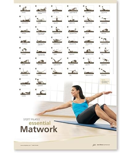 STOTT PILATES Essential Cadillac 2ª Edição (6 idiomas